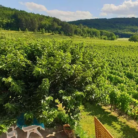 Au Coeur Des Vignes