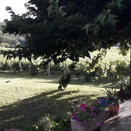 Hotel Au Coeur Des Vignes