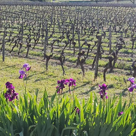 Au Coeur Des Vignes Hotel